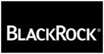 Blackroock International